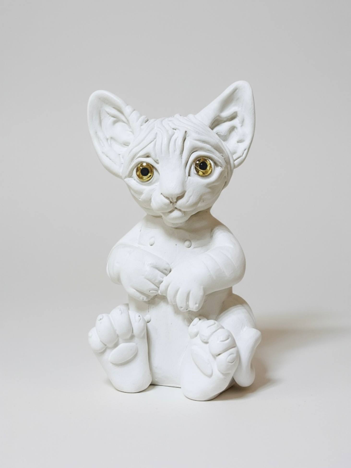 Котик с книгой